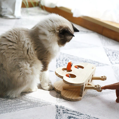 Interactive cat toy box Mole™ 