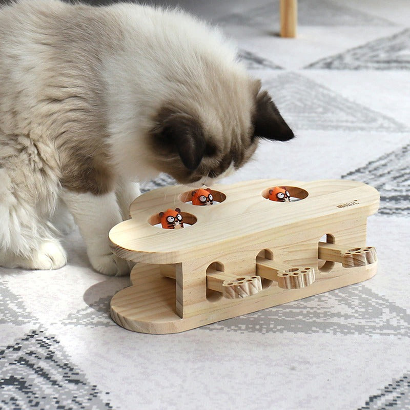 Interactive cat toy box Mole™ 